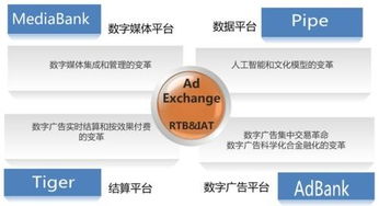 傳合網絡科技圖冊 計算機軟硬件全景解析